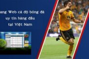 Cập nhật xu hướng thị trường trước khi thiết kế