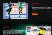 D9bet có uy tín không? Đánh giá trang web D9bet, đẳng cấp châu Á