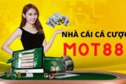 Giới thiệu cơ bản về nhà cái cá cược MOT88 BET